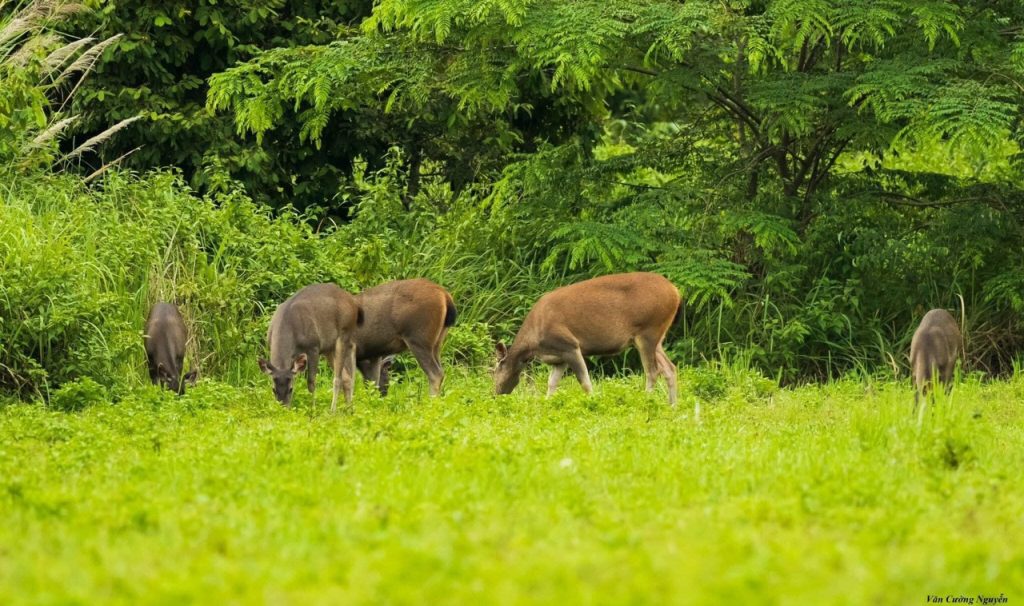 Trekking Cat Tien National Park 2 Days Itinerary